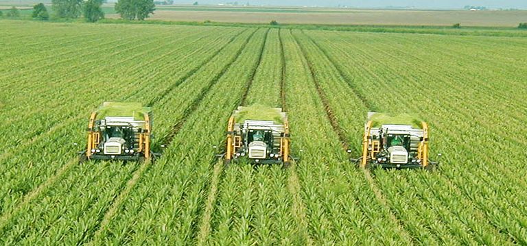 agro