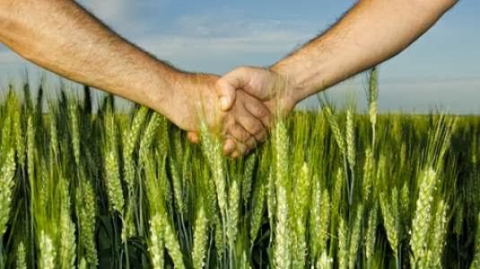 Εγγραφή στο «Μητρώο Αγροτών και Αγροτικών Εκμεταλλεύσεων»