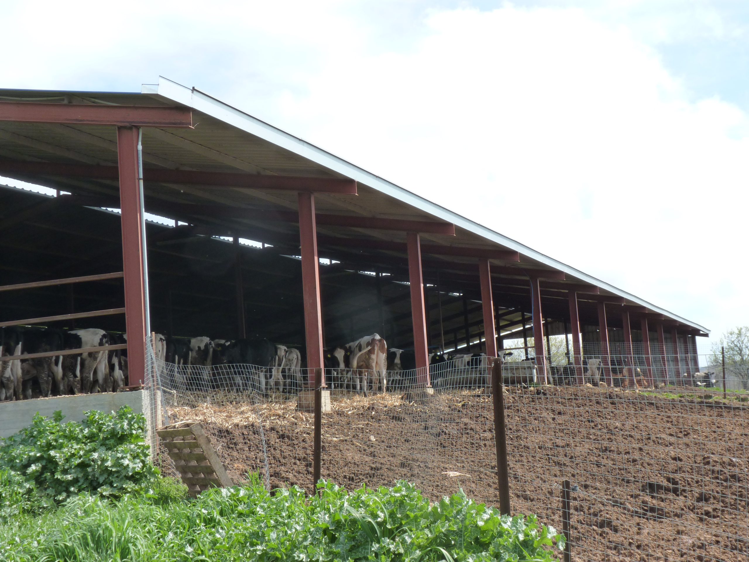 Μπαρμπούνης Μαρίνος και Σία Ο.Ε