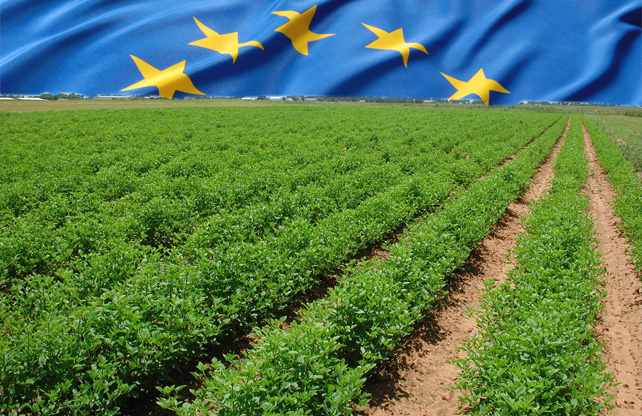 Η Ευρωπαϊκή Επιτροπή ξεκινά δημόσια διαβούλευση για το μέλλον της Κοινής Γεωργικής Πολιτικής