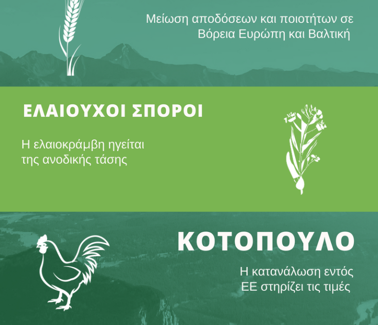 agrotikes-agores-2017-2018-infographic