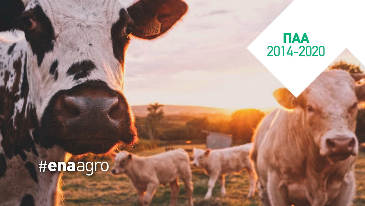 ΠΑΑ 2014-2020: Μέτρο 11 (“Βιολογική κτηνοτροφία”)