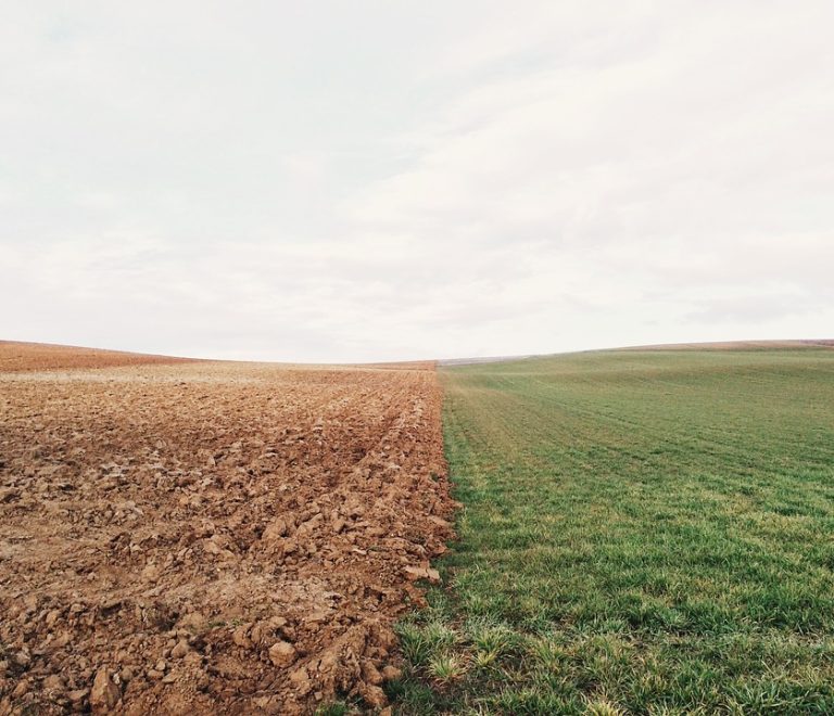 farmland-801817_960_720