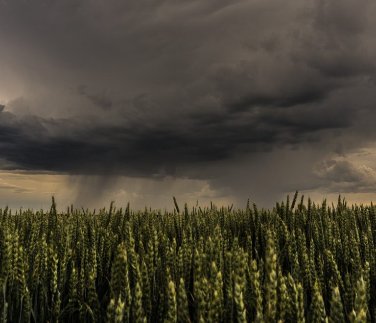 rsz_agriculture-cloud-formation-clouds-459129