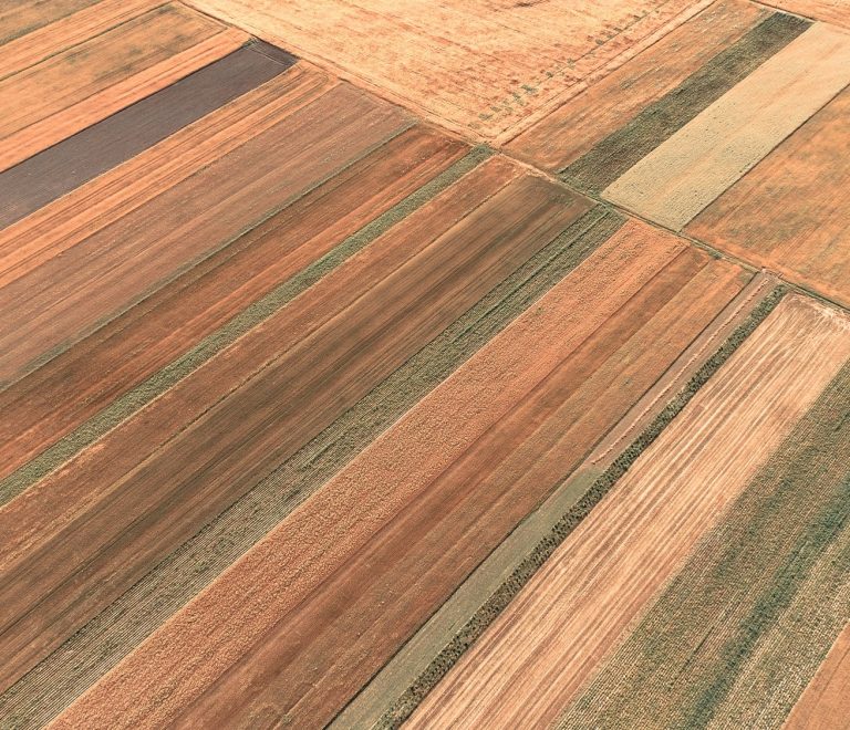 field-line