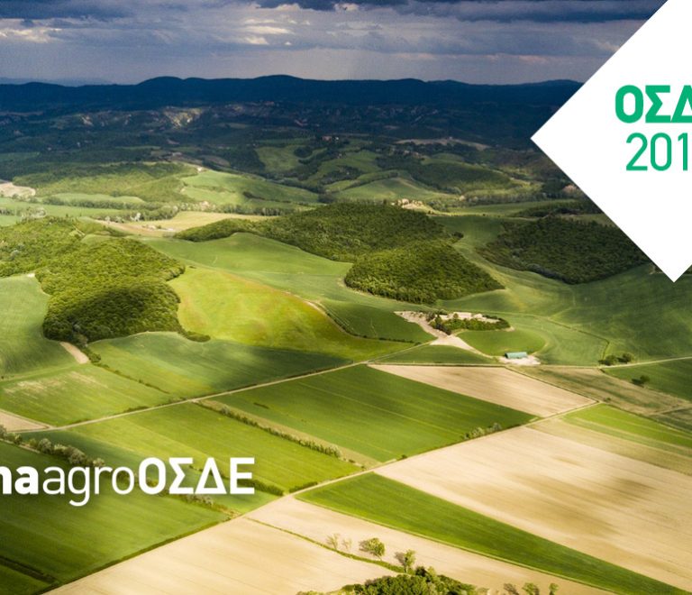 ena-osde2018-1170x662
