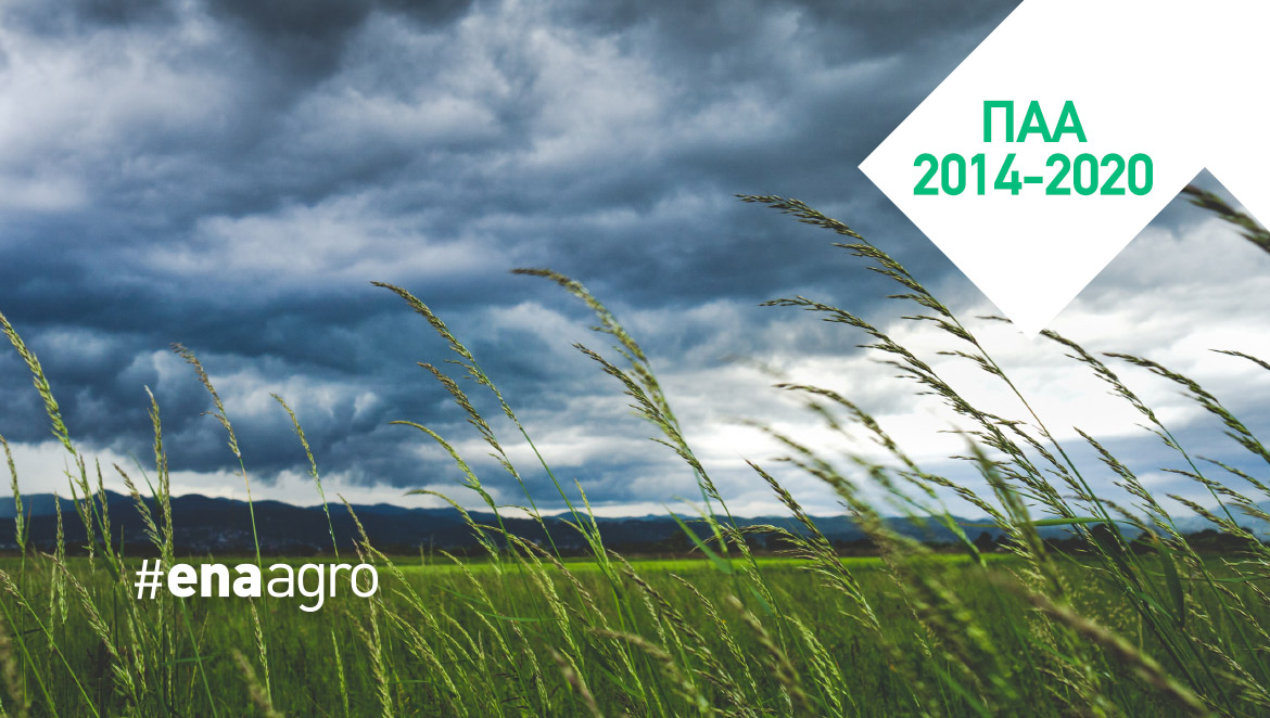 ΠΑΑ 2014-2020: “Επενδύσεις ενεργητικής προστασίας στις γεωργικές εκμεταλλεύσεις (Αντιχαλαζικά)”
