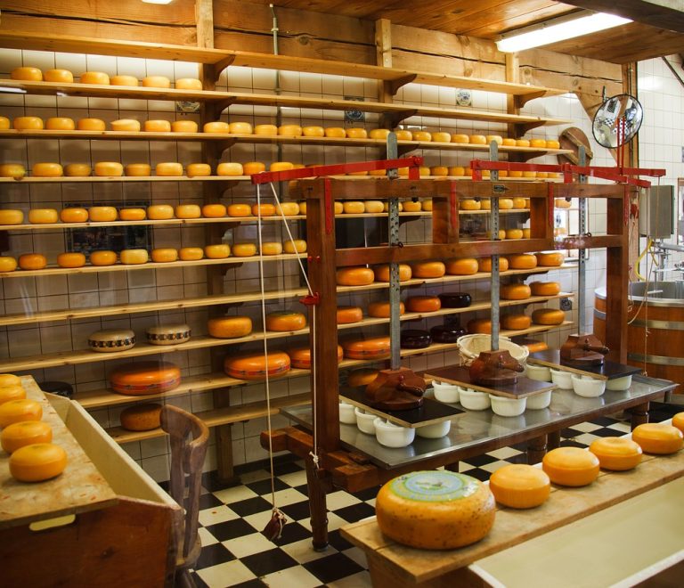 cheese-21824_1280