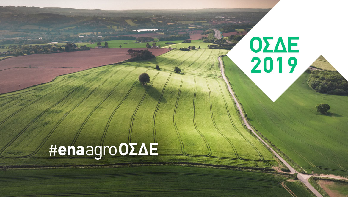 Έναρξη δηλώσεων ΟΣΔΕ 2019