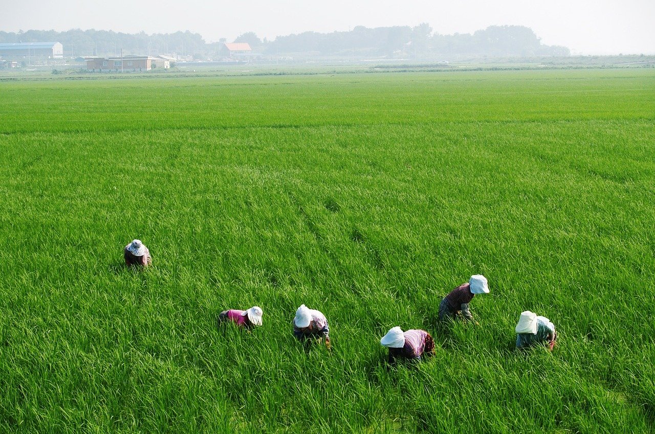 ΟΠΕΚΕΠΕ: Επίσημη ανακοίνωση παράτασης ΕΑΕ 2019