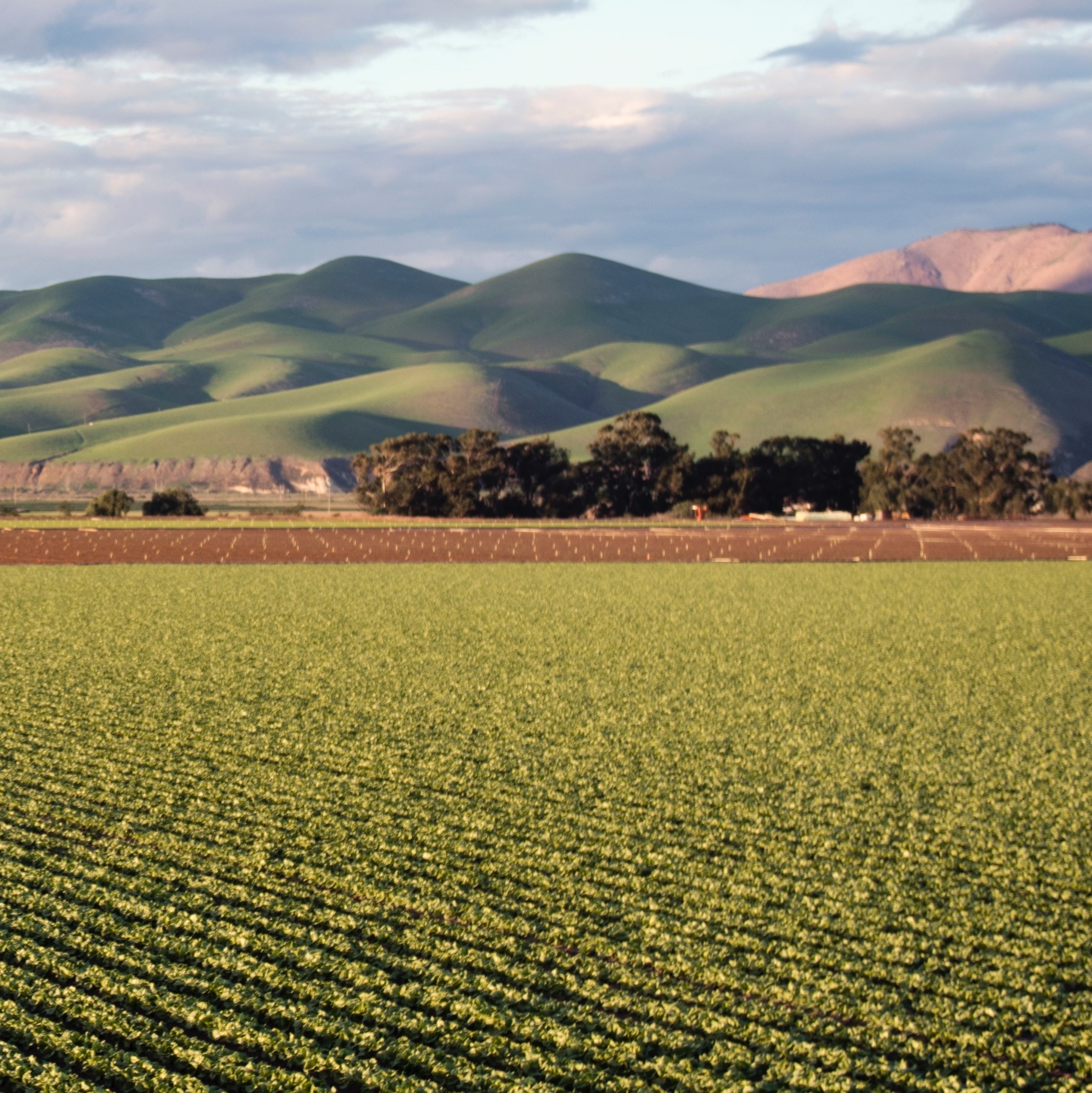 Νέοι Αγρότες: Απολογισμός από το Εθνικό Απόθεμα