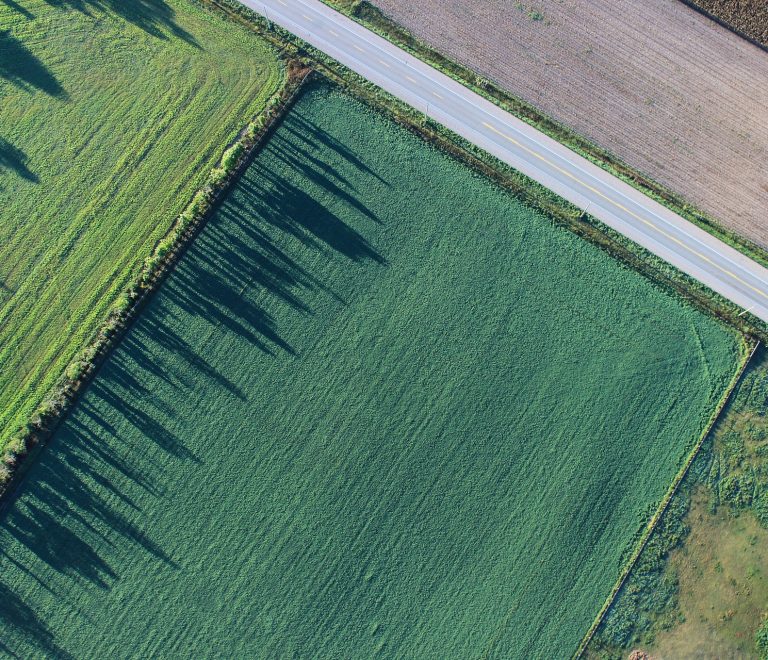 agriculture-1867212_1920