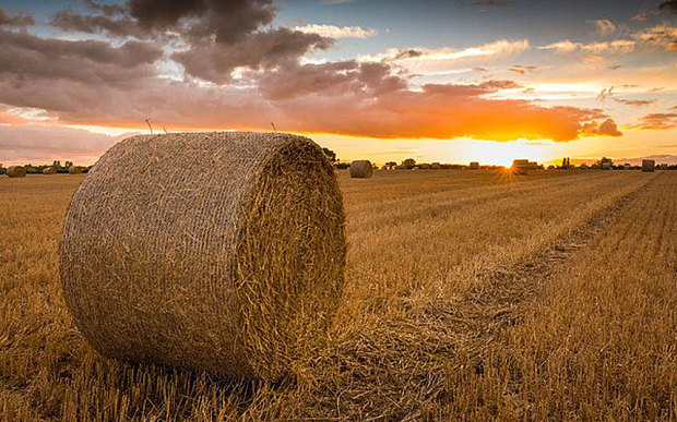 ΠΑΑ 2014-2020: 2η ΤΡΟΠΟΠΟΙΗΣΗ ΤΗΣ ΑΠΟΦΑΣΗΣ ΕΝΤΑΞΗΣ ΠΡΑΞΕΩΝ ΣΤΗ ΔΡΑΣΗ 4.2.1