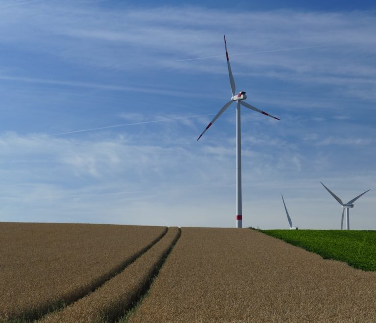 white-windmills-158142