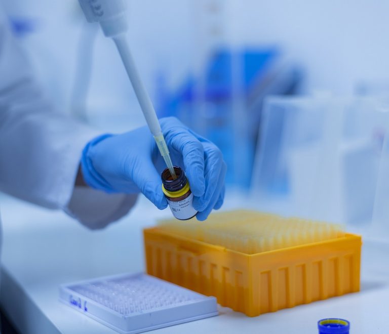 lab