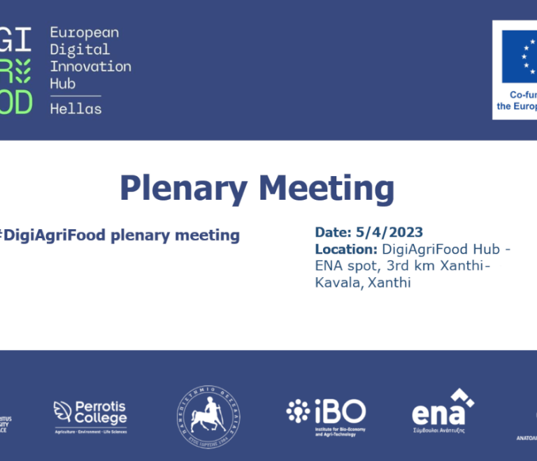 Plenary Meeting