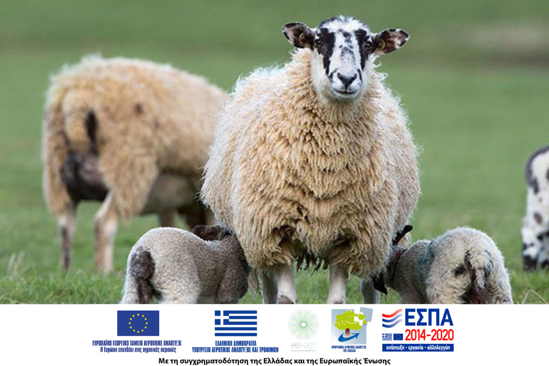 Rodopi Farms, kick-off meeting στο #enahub