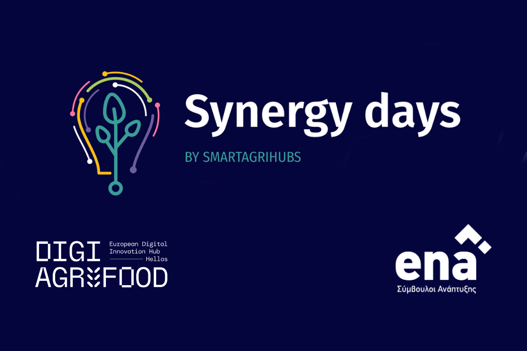 Η ena Σύμβουλοι Ανάπτυξης, στο Synergy Days 2023