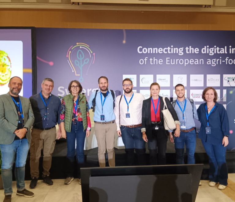 DigiAgriFood_synergydays_inpage