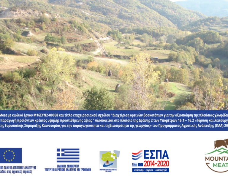 Το έργο Mountain