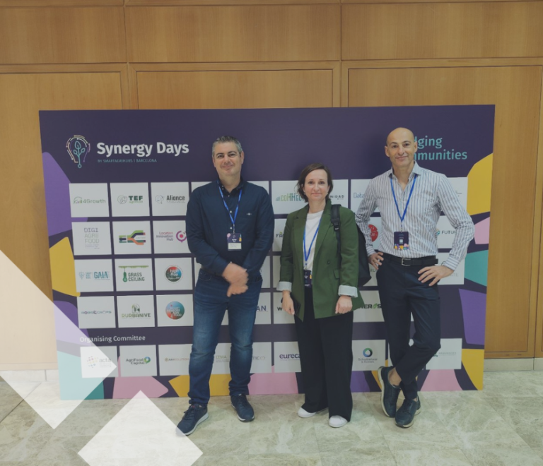 inpage-ti-synergy days