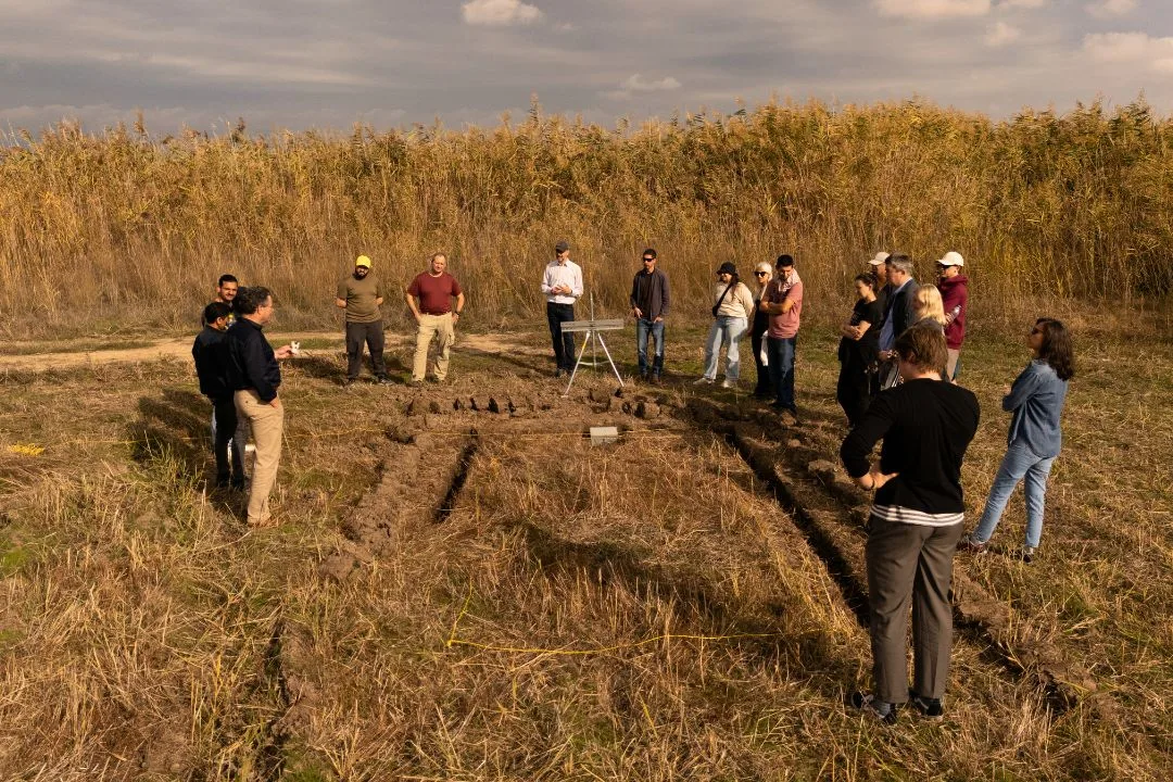 pilot site greece WHEATWATCHER