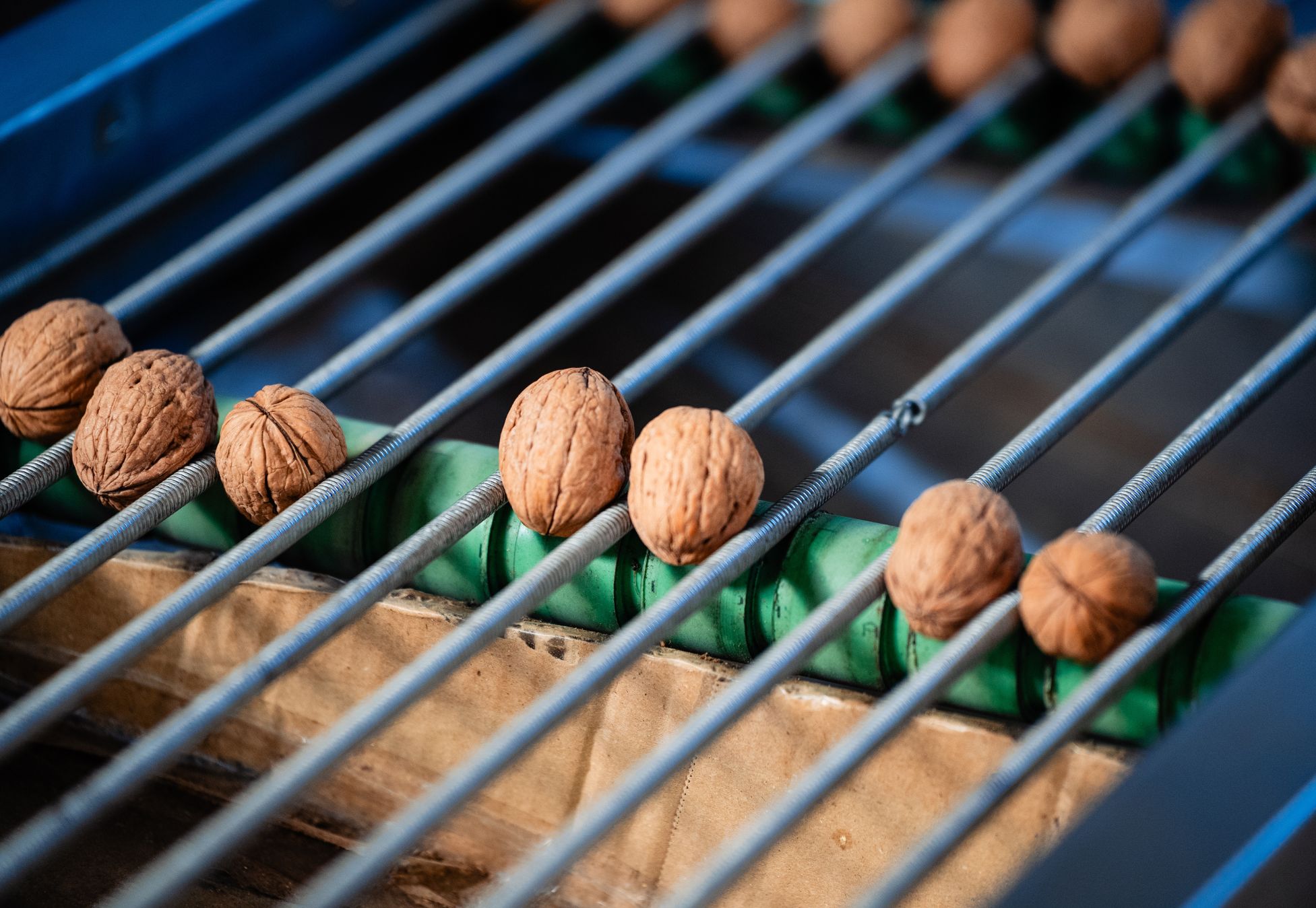 nuts hellas ena digiagrifood