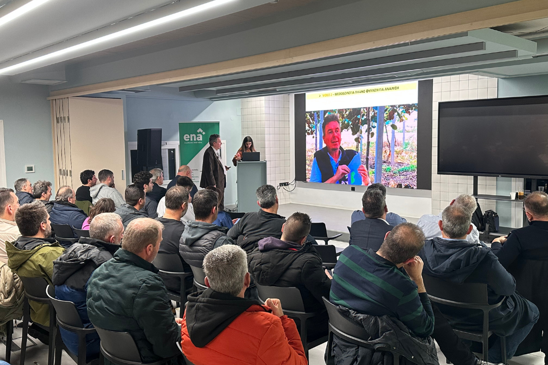 photo2-oloklirosi-ekdilosis-orthologiki-lipansh-aktinidiou-agrothrakh-stavrakaras-a-e