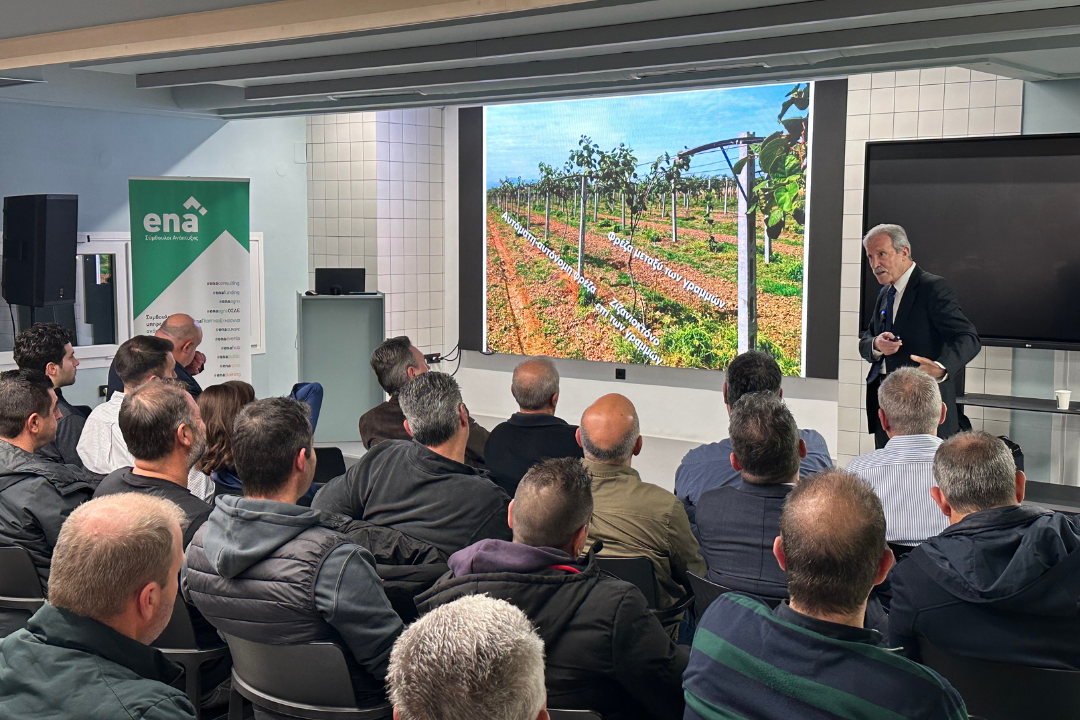 photo3-oloklirosi-ekdilosis-orthologiki-lipansh-aktinidiou-agrothrakh-stavrakaras-a-e