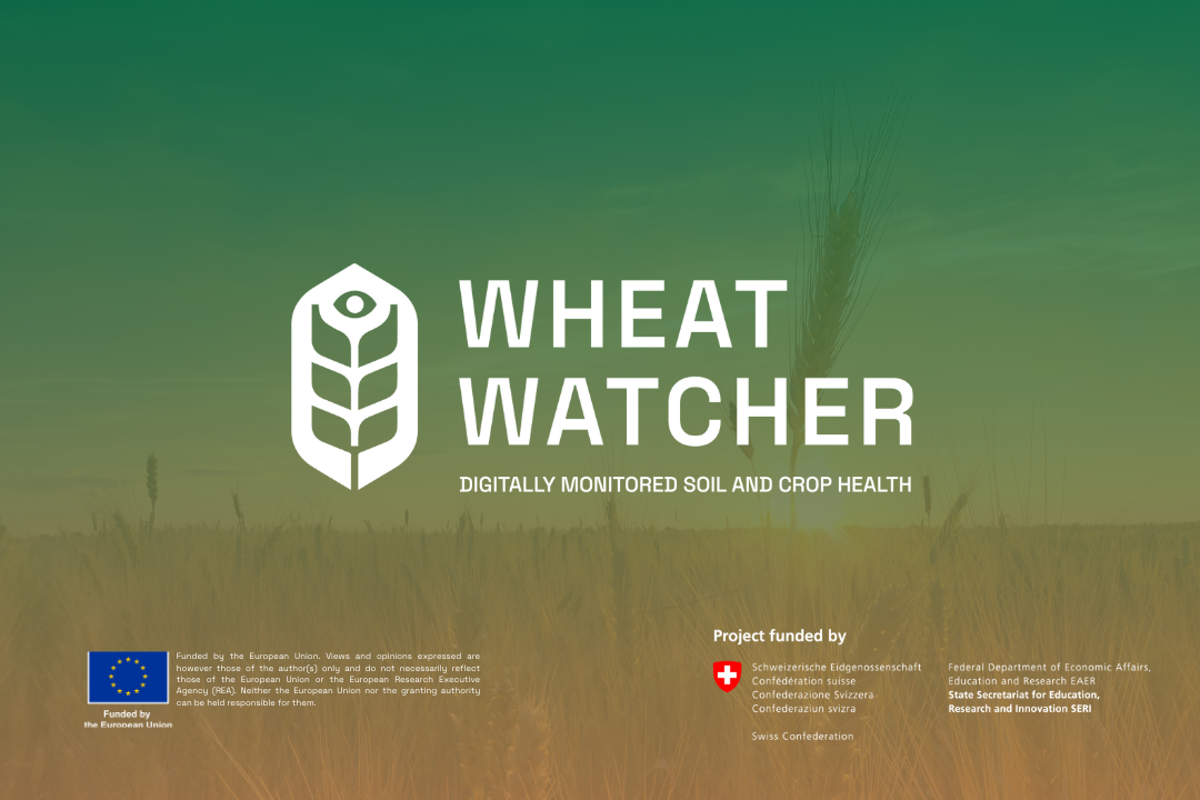 WHEATWATCHER