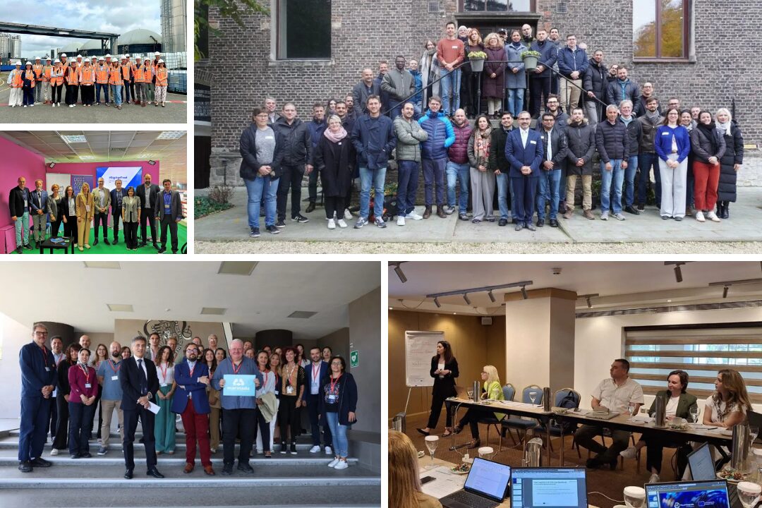 enateam-enaeurope-business-story